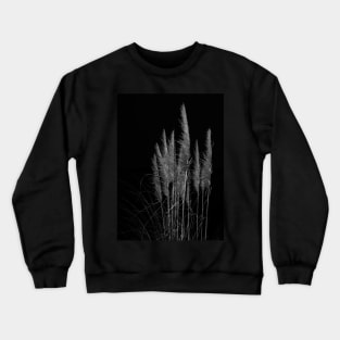 Vertical pampas grass on black background. Crewneck Sweatshirt